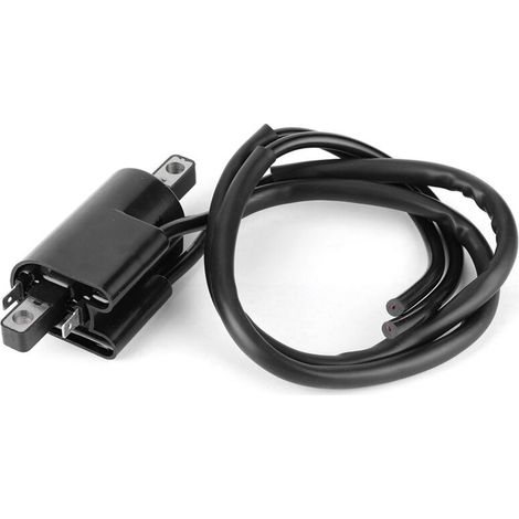 Bobina di accensione adatta per Sea-Doo GS/GSI/GSX/GTS/GTX/GTX Ltd/SP Accessorio 278000383