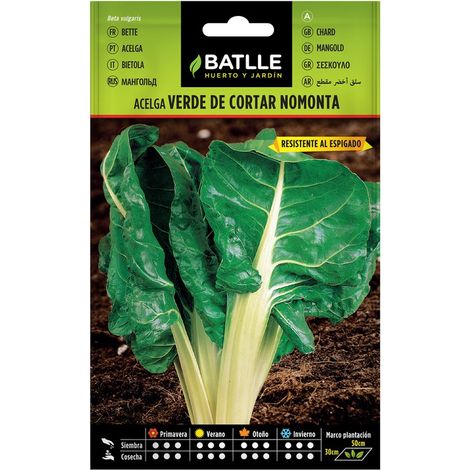 ACELGA VERDE DE CORTAR MOMONTA SOBRE