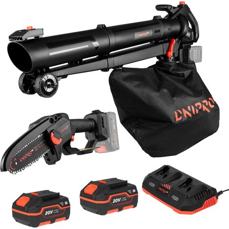 Offre anniversaire Dnipro-M : Kit aspirateur de jardin et mini-tronçonneuse, 2 batteries 4 Ah et chargeur (1/5)