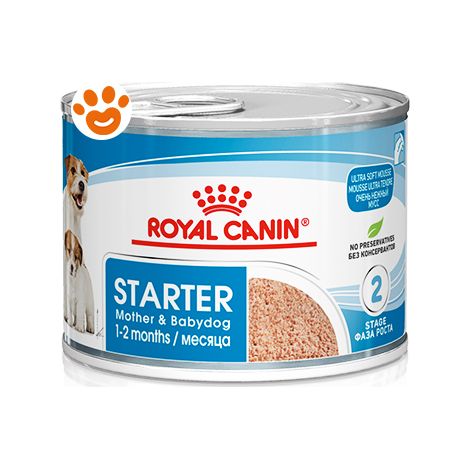 Royal Canin Dog Starter Mousse Mother &amp Babydog  - Royal Canin Dog Starter Mousse Mother &amp Babydog - Lattina Da 195 Gr
