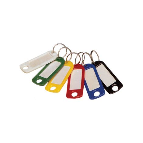 Porte-clés étiquettes plastique - Lot de 100 ou de 600 - BVG 5 couleurs