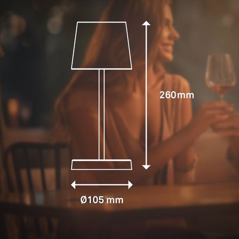 Lampe a poser LED rechargeable USB-C 2.6W 10.5x26cm Cylindrique 150lm 3000K Blanc chaud IP44 Tactile dimmable Noir Lampe de table Salon chambre exterieur