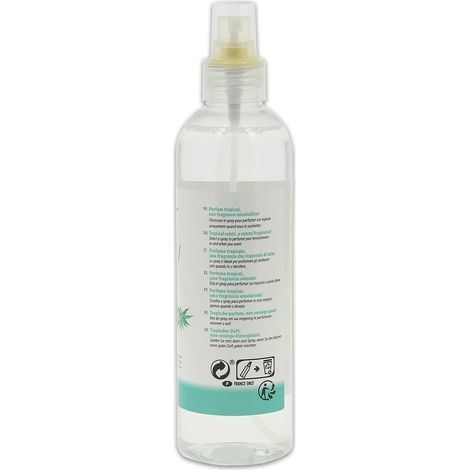 AIR SPRAY CARLINEA TROPICAL GM (1/2)