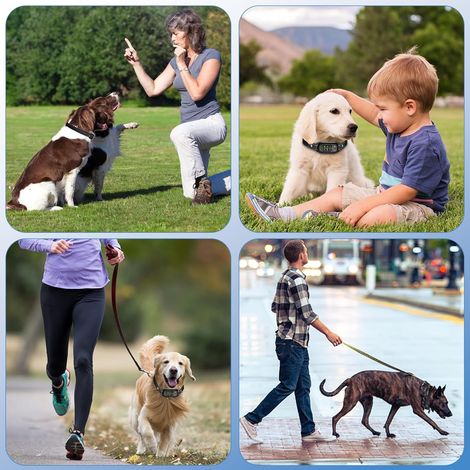 Collier Anti-aboiement PUGTOW Collier pour Chien à la Citronnelle sans Choc, Dispositif Rechargeable Anti-aboiement - Collier de Dressage pour Chiens avec 5 Modes (Vibration/Son/Spray) pour S/M/L