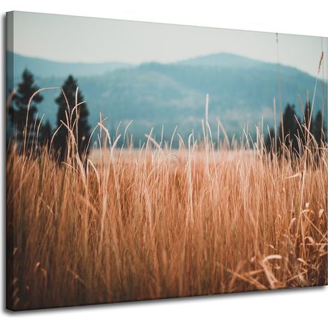 Cuadro sobre lienzo Naturaleza Hojas de hierba 100x80 cm Montañas
