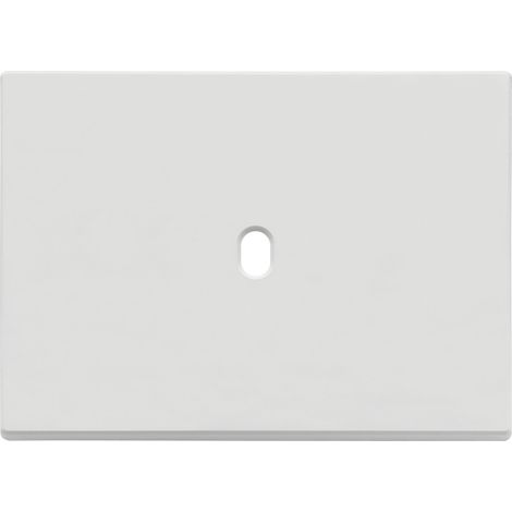 VIMAR - 22673.1.01 Plaque d'immatriculation vintage blanc mat 3Mx1