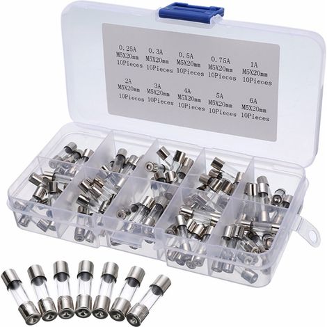 Ensemble de fusibles en verre à soufflage rapide, 20 x 5mm, kit de fusibles à soufflage rapide avec boîte à fusibles en plastique transparent et valeurs de 10 Amp: 0.2A 0.5A 1A 2A 3A 5A 6A 8 (1/5)