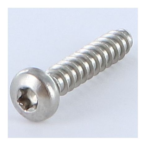 Vis tôle tête cylindrique bombée large TORX 5.5X25 Inox A2 Sans pointe-10 pièces