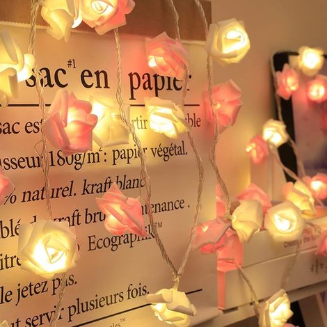 Guirlande lumineuse rose, guirlande lumineuse d'intérieur/jardin, guirlande lumineuse LED USB, 6 m, 40 LED, décoration de chambre de fille, bar, fête, décoration de Noël (1/5)