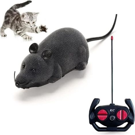 Souris télécommandée - Jouet interactif - Gris - Pour chats - Amusant - Usage intérieur (1/4)