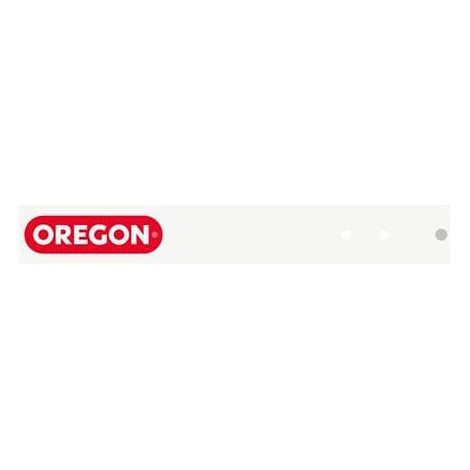 Oregon Schwert Führungsschiene 40 cm 3/8 1,3 mm passt zu Dolmar Einhell Makita