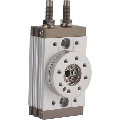 Vérin Rotatif Pneumatique 180° MSQB-20R à Double Effet avec Amortisseur (1/5)