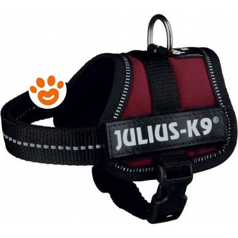 Pettorina Julius K9 Bordeaux - XS-S (36/40cm-15mm) - Accessori