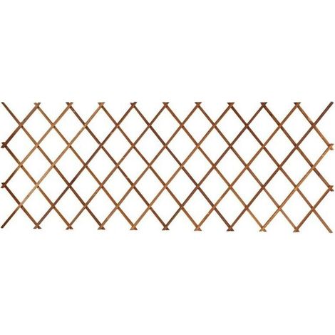 Treillis, Cadre d'escalade télescopique anti-corrosion pour mur de jardin de cour - 44x31cm 1piece - RWTreillis