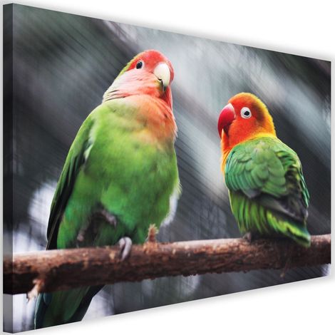 Tableau décoratif Perroquets colorés Oiseaux 90x60 (1/5)