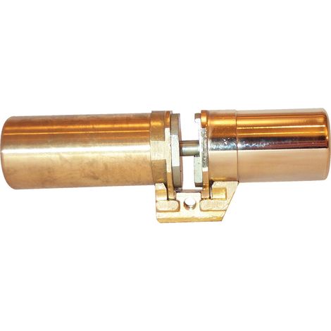Cylindre monobloc à lanterne A2P1 Vertipoint T 787M D+30 - FICHET - 75035920 (1/3)