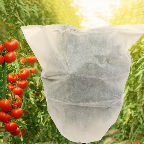 Lot de 3 sacs de protection pour plantes, arbres, fleurs et arbustes de jardin : protection solaire et antigel. (1/5)