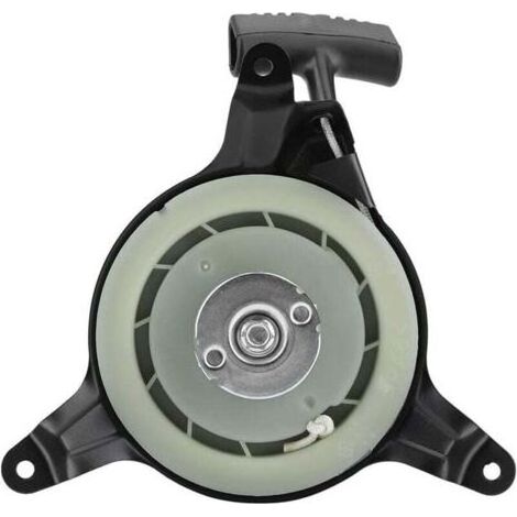 Pièces de Rechange pour Tondeuse à Gazon Honda GXV120 GXV140 GXV160 1P61P0 HRM195 215 28400ZG9803 (1/4)