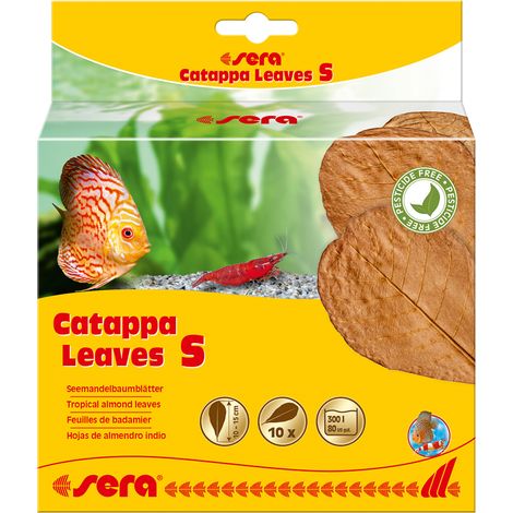 Aquarienpflege sera catappa leaves natürliche Blätter 14 cm