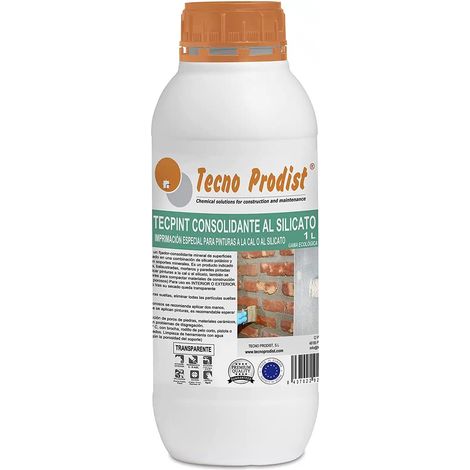 Tecno Prodist Tecpint Consolidante al Silicato - Fijador para Paredes de Piedra, Ladrillo