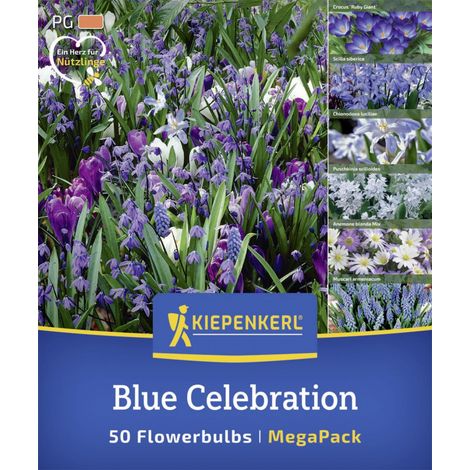 Kiepenkerl Herbstblumenzwiebelmischung Mega-Pack Blue Celebration 50 Stück (1/2)
