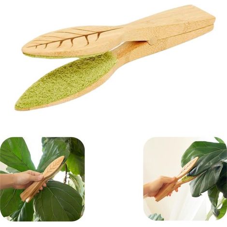 Brosse à feuilles en bois 25 x 4 cm - brosse double face pour nettoyer les feuilles de monstera, brun (1/5)