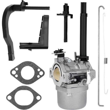 Carburetor suitable for P25 snowblower models 591378, 699966, 699958, 796321 and 696132 (1/4)