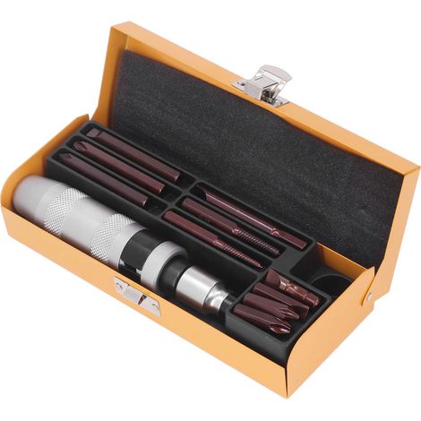 Ensemble de 12 embouts de tournevis à percussion en acier avec accessoires (1/5)