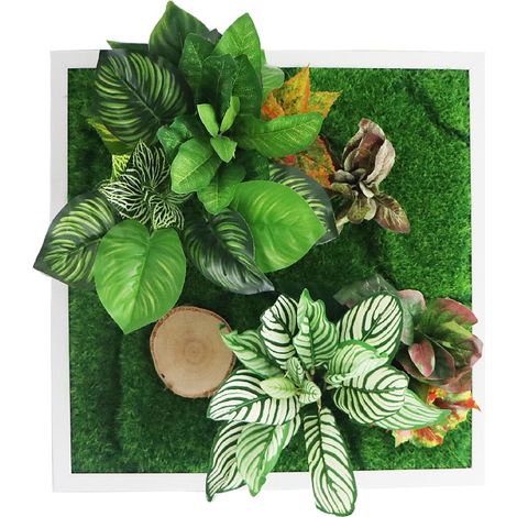 Garden Point - Bello Horizonte 50x50 - Giardino verticale 3D (1/5)