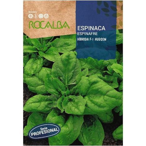 Rokalba Seeda Espinaca Hudson F1 500gr