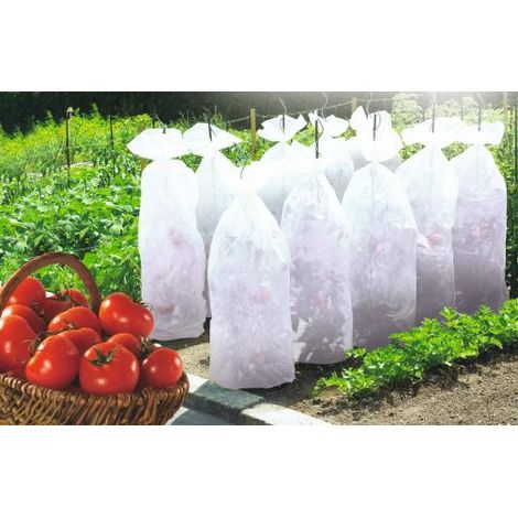 Manica di crescita TOMATEX 0,6x10m NORTENE