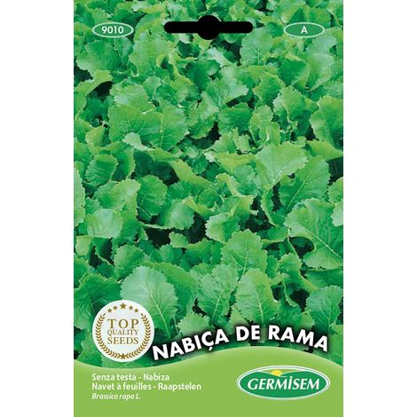 graines Feuilles de navet SENZA TESTA