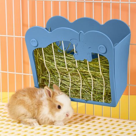Mangeoire Lapin, Râtelier à Foin Suspendu pour Petits Animaux Lapins, Lapins Nains, Cochons d'Inde (Bleu) (1/4)