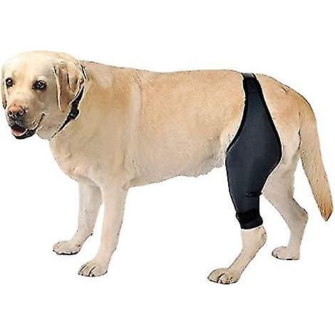 Bandage de protection pour patte de chien, attelle post-opératoire pour luxation du genou, soutien articulaire pour rééducation canine (1/4)
