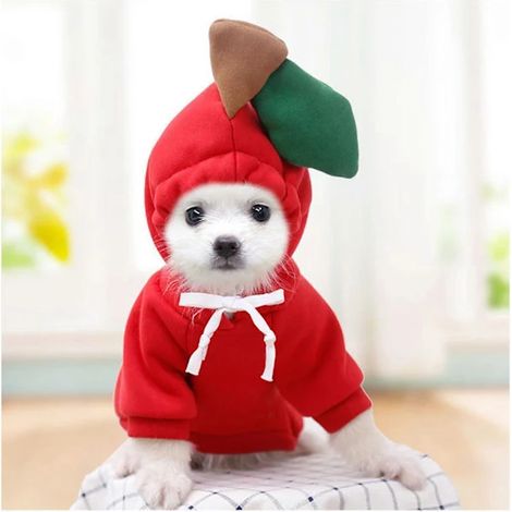 Vêtements chauds de Noël pour chien, vêtements d'hiver épais pour animaux de compagnie