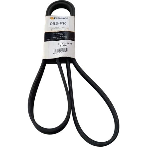 6pk1825 cinghia poly-v alternatore servizi marca flennor (1/5)