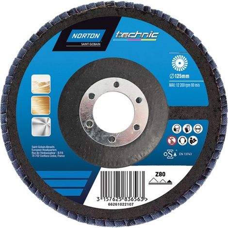Disque à lamelles convexe sup. fibre technic 125x22 g.40 - NORTON