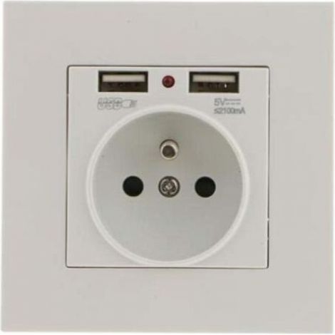 Lot de 2 Prises Murales, Prise Electrique Murale avec Double USB 5V/2100mA, Prise Encastrable avec 2 Ports de USB Pratique et Manialble TREETALK (1/4)