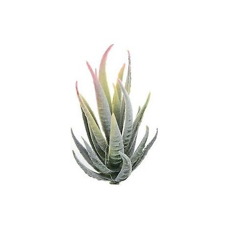 plante artificielle d'aloès simulée, bonsaï de table, décoration à faire soi-même pour hôtel ou maison (1/5)