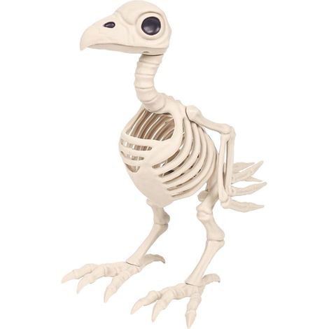 Squelette Oiseau - Décoration Halloween en Plastique - Pour Maison Hantée Bar Fête Thématique - 1 Pièce