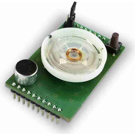 Module d'interface vocale optionnel pour les transmissions vocales et les interrogations à distance