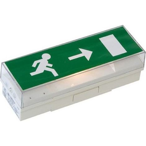 Bloc d'éclairage de sécurité BAES STD 65 C – IP42 – 45 lm – Alimentation 230V AC – Résistance aux chocs IK07 – Montage plafond ou encastré – Luminox (1/5)