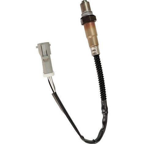 Capteur d'oxygène automobile XL3Z-9F472-AA pour Ford F150E150 (1/5)