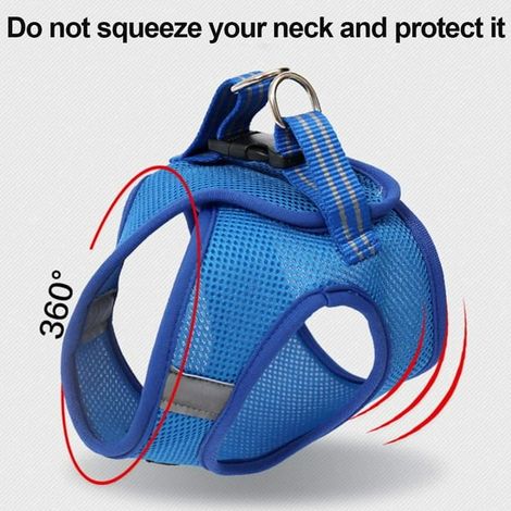 Laisse de dressage avec harnais pour chat, promenade extérieure, sangle réglable, robuste et légère, sans traction, idéale pour petits félins aventuriers. (1/2)