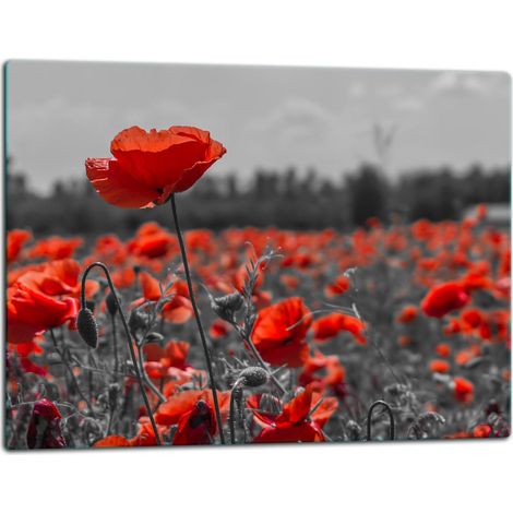 Schneidebrett aus Glas, 52x40 cm, Blumen (1/5)