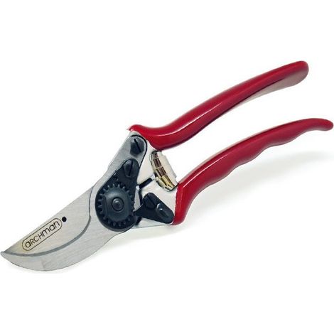 Forbice da potatura vigna lama intercambiabile 21 cm