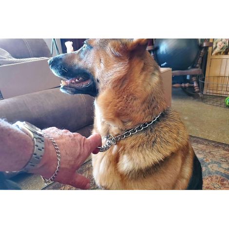 Chain Choke Collar for Dogs, Metal Slip Link Training Dog Choker Collar Martingale Puppy Collars XS Small Medium Large Big XL (1/5)