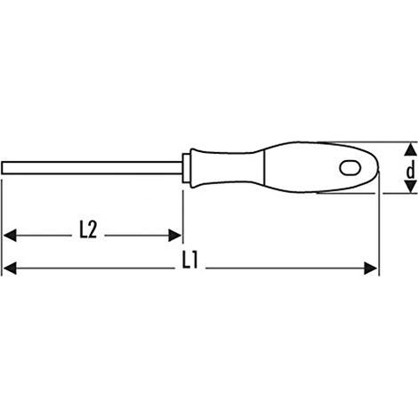 Schraubendreher EXPERT E165483 (1/3)