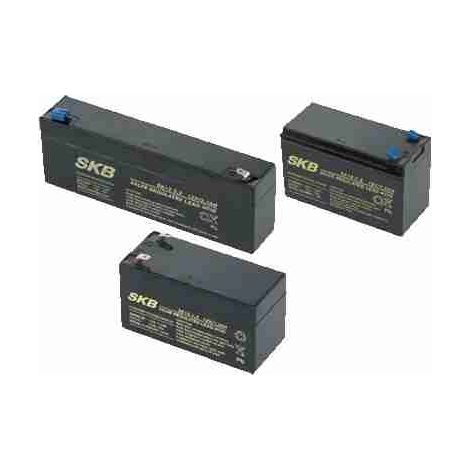 Batteria Al Piombo 12 V 17 Ah Came Bb180 846xg-0040 Sicurezza Antintrusione