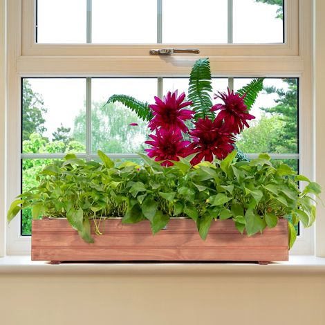 Jardinière Rectangulaire en Bois de Sapin Pré-huilé 91,5x18x16 CM Bac à Fleurs avec Grain de Bois Naturel pour Jardin/Balcon (1/3)